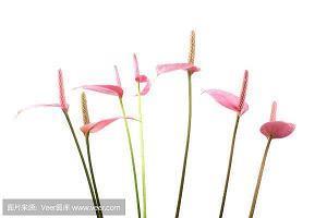 赞美关于苏州杭州的诗句古诗大全