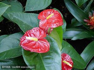 跨年走心文案大全2022(精选87句)