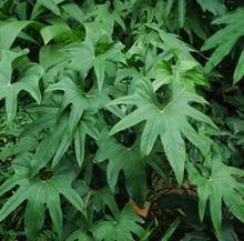 2021四月你好唯美正能量朋友圈文案