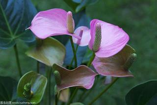 记录美好瞬间的短句 照片留住美好瞬间的句子46句