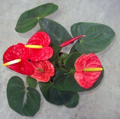 适合春天发朋友圈的优美语句 描写春天的句子唯美短句收集19句