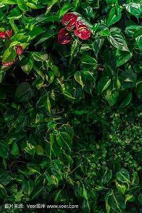 有关中秋祝福古诗贺词(精选88句)