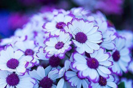 追光2022全球日出经典文案(精选99句)