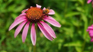 2021很温馨的清晨问候语 早安心语2021最新暖心