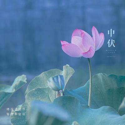 清晨心语正能量一句话收录28句