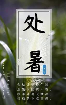 直击心灵的朋友情句子11句