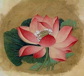 表示自己很委屈的经典说说汇总79句