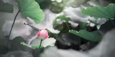 抖音晒娃的唯美句子2021年(精选72句)