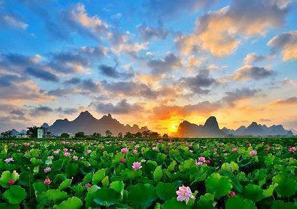 抖音喝酒经典句子 喝酒的幽默句子推荐61句