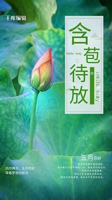 春天优美的句子摘抄小学生汇编66句