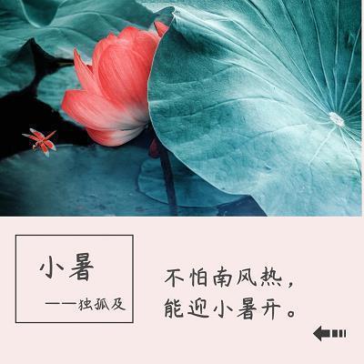 套路满满土味情话大全 男生表白必备的句子
