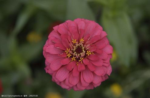 爱意满满的句子 平凡生活里的浪漫诗意一句话收录12句