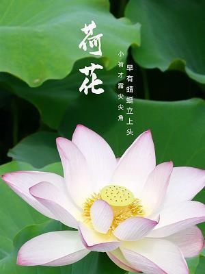 朋友圈秀恩爱的浪漫文案
