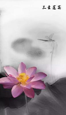 适合早上发朋友圈的句子 早安暖心话短句推荐80句