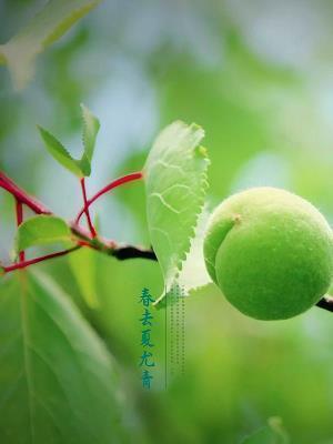 适合发早安的暖心句子,早安小短句 暖心(精选75句)