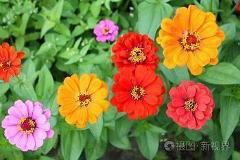 运动与健康格言(精选91句)
