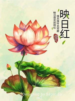描写仙人掌的优美句子