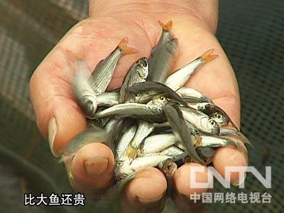 一句话的简单早安说说 早语心情说说正能量推荐58句