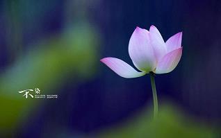 晚安正能量句子 晚安心语正能量2021精致汇总79句