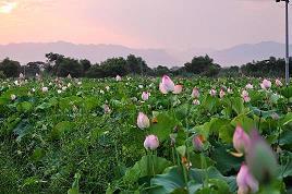 温暖励志的简单句子 感恩励志的中国风句子(精选20句)