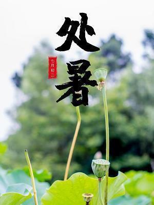 看见流星雨心情文案说说(精选15句)