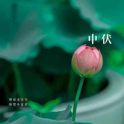 夏天的句子短句唯美朋友圈精选44句