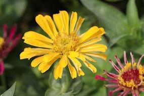 早安语录晨语分享正能量短句推荐33句