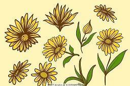 让女朋友感动的情话(精选34句)