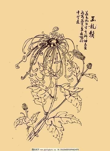 感慨发朋友圈伤感的话伤感发朋友圈的话