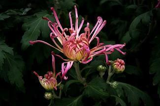 教师节送给老师最暖心的一段话2021年(精选107句)