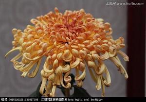 睡前情话送女朋友晚安 给对象发晚安的情话合集50句