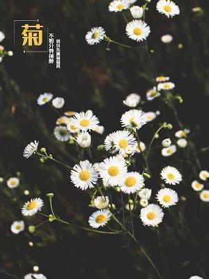 心情不好的句子93句