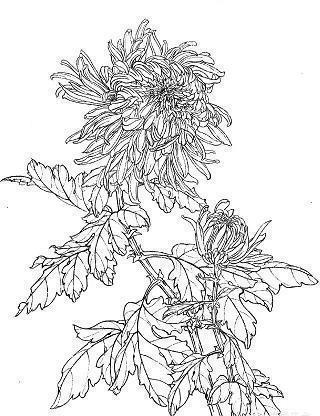 描写中秋节的优美句子