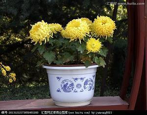 2022虎年春节朋友圈祝福语文案(精选100句)