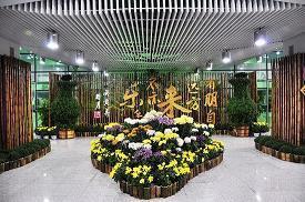 治愈神仙温柔励志短句 超级温柔的神仙句子(精选52句)