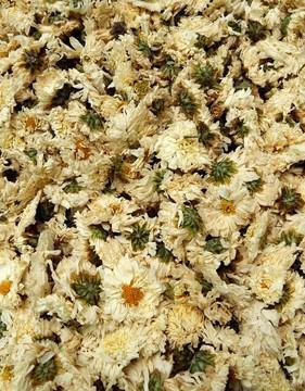 朋友圈沙雕文案摘录24句