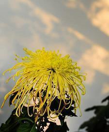 朋友圈经典语录2021汇总39句