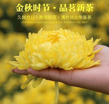 简单干净致自己的句子 文案句子简短