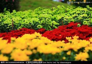 父亲节温馨祝福语