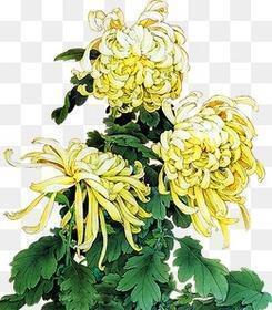 描写风景的唯美句子