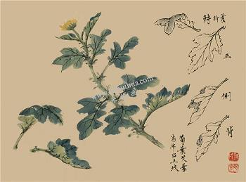 秀恩爱的俏皮句子 土味情话大全撩男朋友精选48句