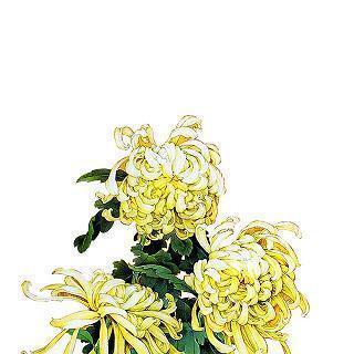 有关陪伴的唯美句子最暖心的陪伴精选32句