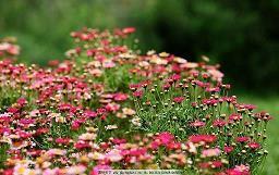 一句话让别人关注你 有吸引力的朋友圈句子(精选65句)