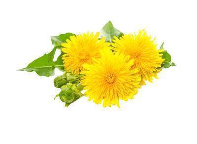 成熟人生感悟社会句子