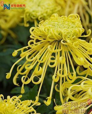 思念一个人的句子 暗示想念某人的句子48句