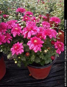 表达对伴侣失望的句子