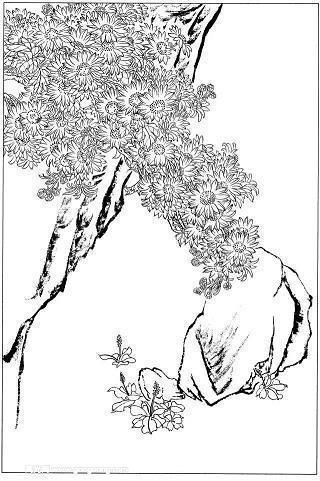 植树节个性说说句子 植树节怎么发说说