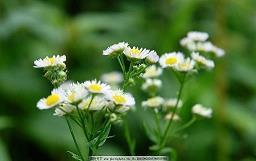 描写爱好的句子38句