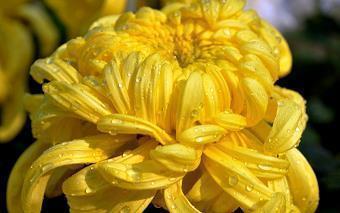 展望2020的励志语句