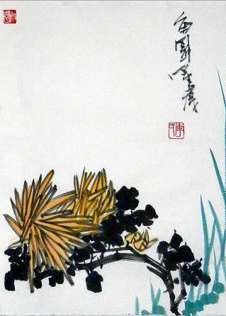 每日一善句子文案